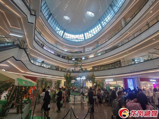 促消费政策给力 深圳龙岗电子产品消费客流量与销售额双提升